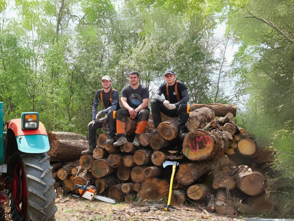 Trois membres de l’équipe VMV assis sur des grumes de bois en forêt